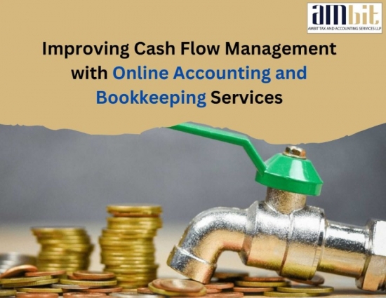 Improving Cash Flow Management with Ambit